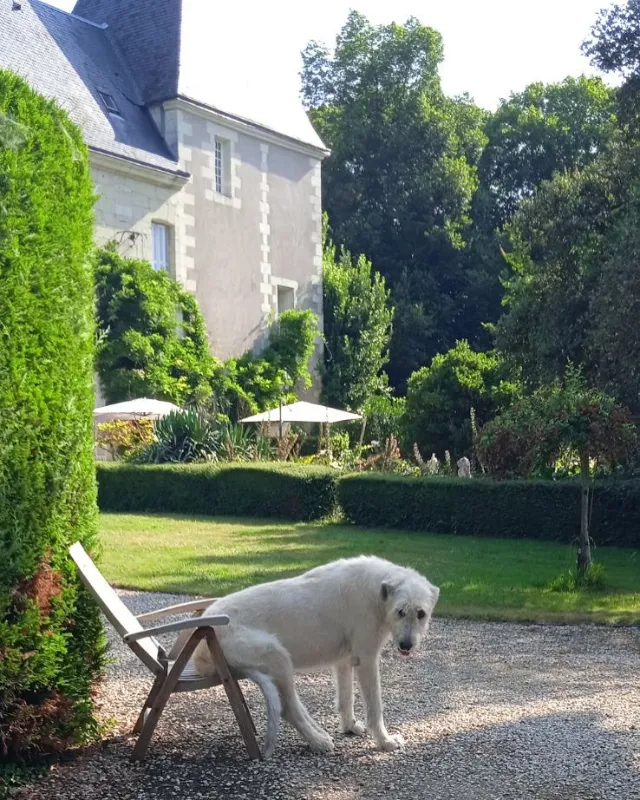 Writers' Retreat at a Historic Loire Valley Château